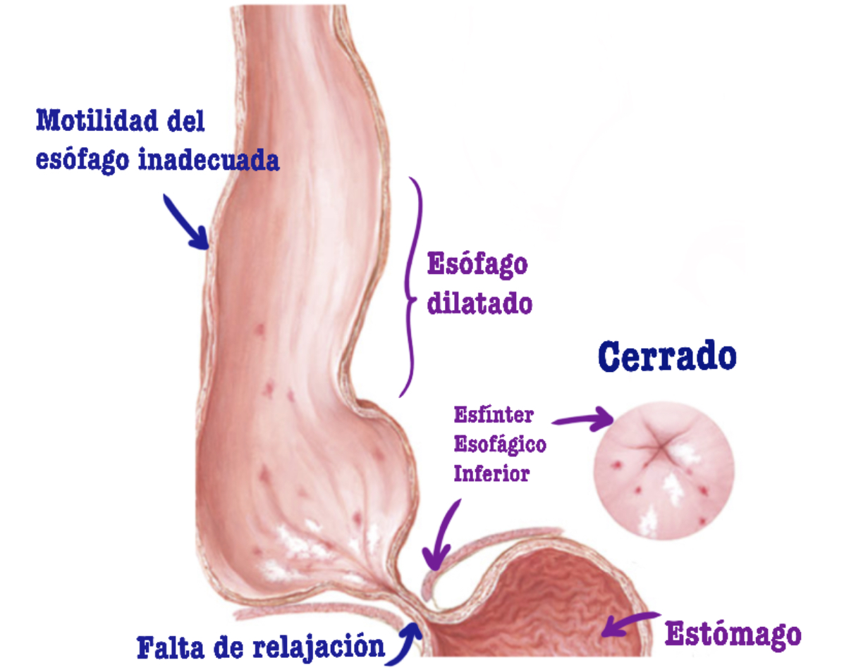 WhatsApp Image 2024-06-27 at 2.21.34 PM